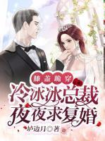 膝蓋跪穿，冷冰冰總裁夜夜求復(fù)婚