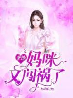 天降雙寶：陸少放肆寵