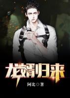龍婿歸來