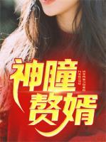 神瞳贅婿