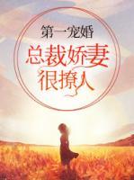 第一寵婚：總裁嬌妻很撩人