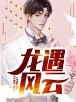 龍遇風云