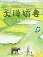 首領(lǐng)大人的天降嬌妻
