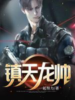 鎮(zhèn)天龍帥