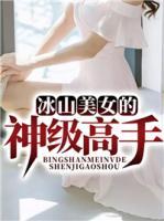 冰山美女的神級高手