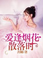 愛逢煙花散落時(shí)