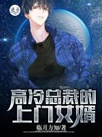高冷總裁的上門女婿