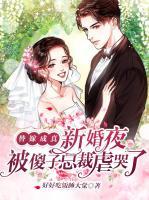 替嫁成真，新婚夜被傻子總裁虐哭了