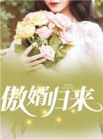 傲婿歸來