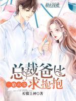 一胎六寶：總裁爸比求抱抱