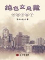 絕色女總裁的貼身高手