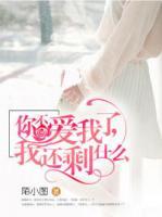 你不愛我了，我還剩什么