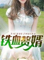 鐵血贅婿