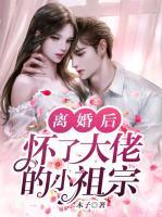 離婚后，懷了大佬的小祖宗