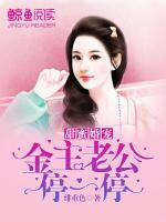 甜蜜婚寵：金主老公停一停
