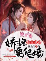 報(bào)告皇叔，嬌妃要爬墻