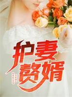 護妻贅婿