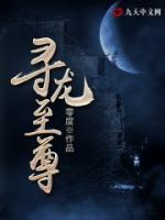 尋龍奇書