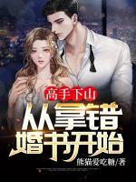 高手下山：從拿錯(cuò)婚書開始