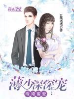 暖婚蜜愛：薄少深深寵