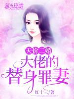 天價(jià)二婚：大佬的替身罪妻