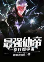 最強(qiáng)仙帝一拳打爆宇宙