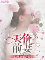 天價前妻：總裁離婚請簽字