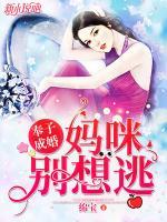 奉子成婚：媽咪別想逃