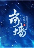 南墻