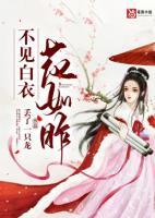 不見白衣花如昨