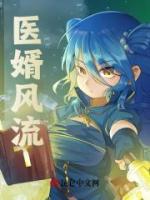 醫(yī)婿風(fēng)流