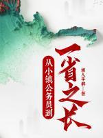 從小鎮(zhèn)公務(wù)員到一省之長
