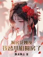 洞房花燭夜，我替小姐圓房了