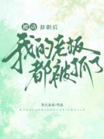 被動辭職后，我的老板都被抓了