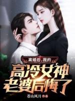 離婚后，我的高冷女神老婆后悔了