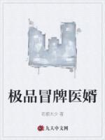 極品冒牌醫(yī)婿
