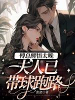 傅總醒悟太晚，夫人已帶球跑路