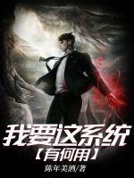 我要這系統(tǒng)有何用