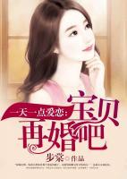 一天一點(diǎn)愛戀：寶貝，再婚吧