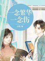 一念繁華一念傷