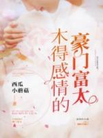 木得感情的豪門富太