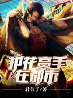 護(hù)花高手在都市