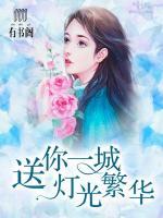 送你一城燈光繁華