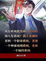 我是系統(tǒng)批發(fā)商