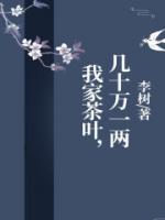 我家茶葉，幾十萬(wàn)一兩