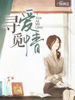 尋愛覓情