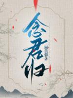 念君歸