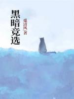 黑暗競選