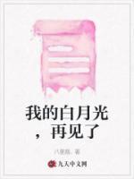 我的白月光，再見(jiàn)了