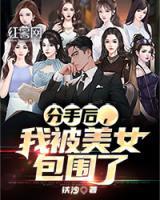 分手后，我被美女包圍了